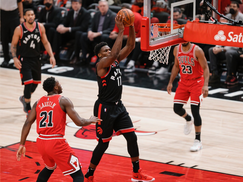 数据上的亮 数据上的亮